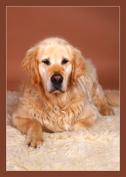 wodan.jpg (41716 Byte)