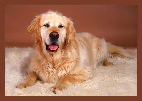 wodan1.jpg (40025 Byte)