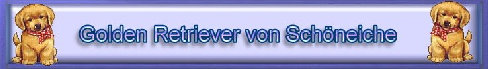 banner sch.bmp (101070 Byte)