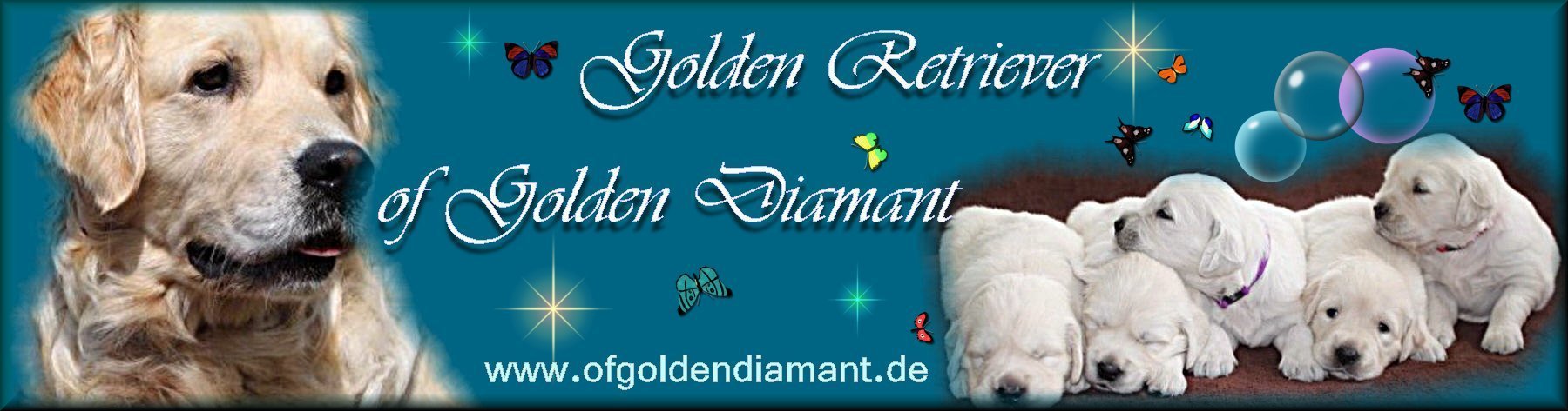 banner Liane.jpg (48701 Byte)