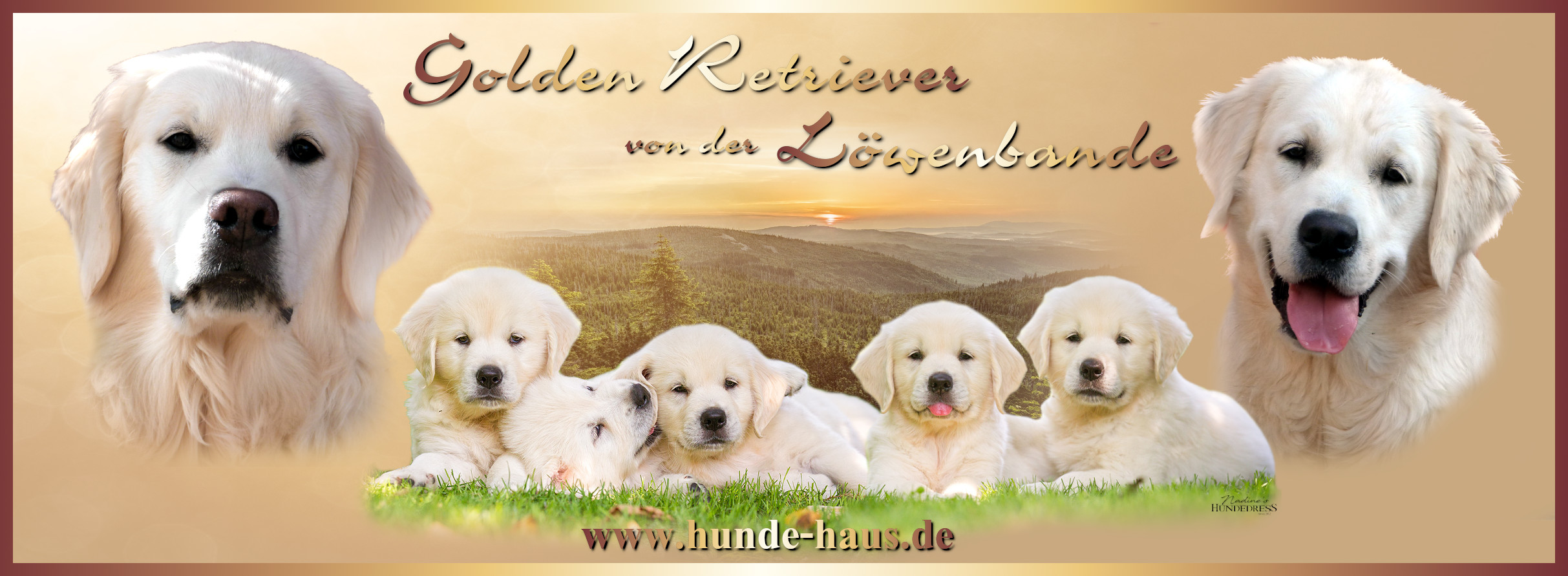 banner eigener 14.10.jpg (15388 Byte)