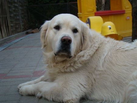 Dsc01504.jpg (27912 Byte)