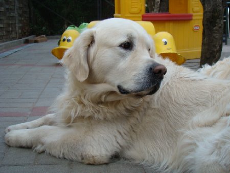 Dsc01508.jpg (30192 Byte)