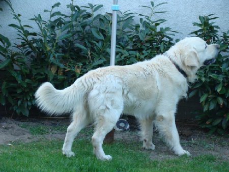 Dsc01560.jpg (43376 Byte)