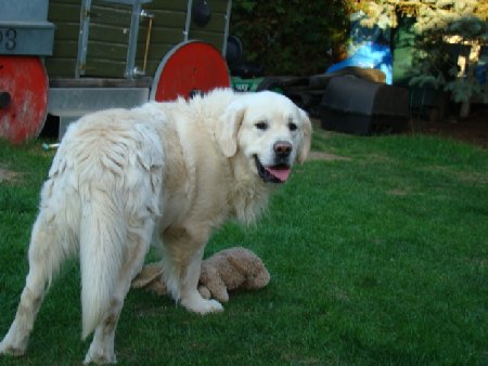 Dsc01565.jpg (35042 Byte)