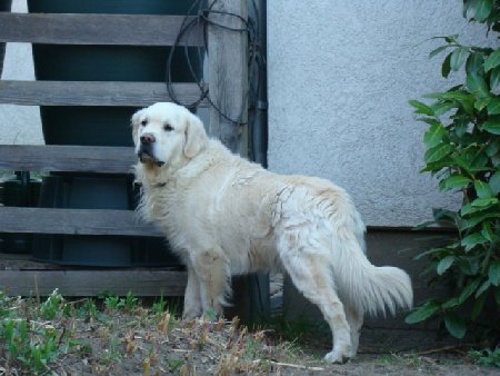 Dsc01570.jpg (38659 Byte)