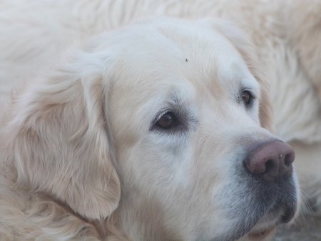 P1000601.jpg (22438 Byte)