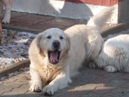 P1000602.jpg (33449 Byte)