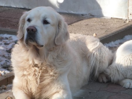 P1000603.jpg (29535 Byte)