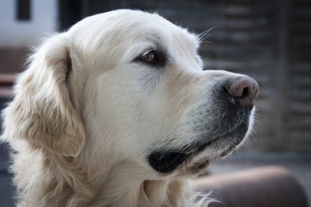 IMG_1760.jpg (24763 Byte)