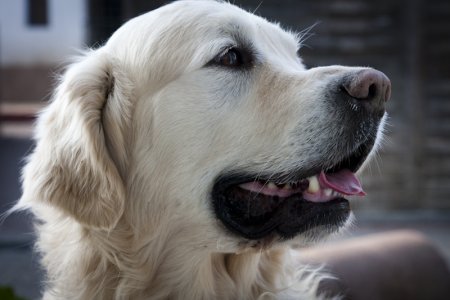 IMG_1761.jpg (25196 Byte)