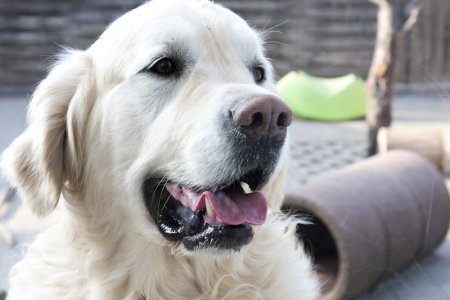 IMG_1764.jpg (25687 Byte)