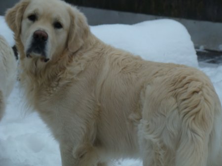 Dsc00156.jpg (19901 Byte)