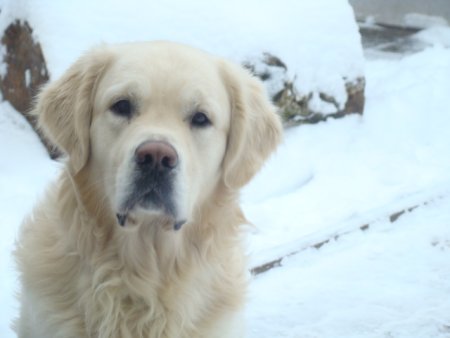 Dsc00157.jpg (19300 Byte)