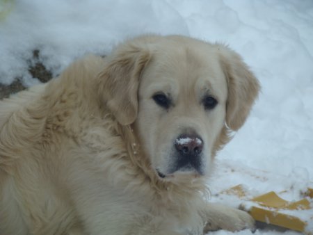 Dsc00163.jpg (20176 Byte)