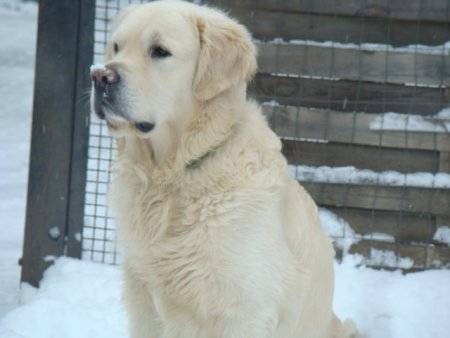 Dsc00166.jpg (23861 Byte)