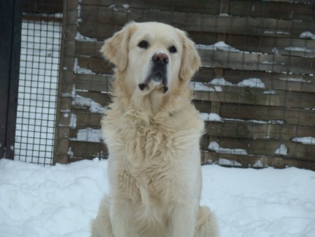 Dsc00167.jpg (28633 Byte)