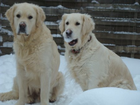 Dsc00170.jpg (25018 Byte)