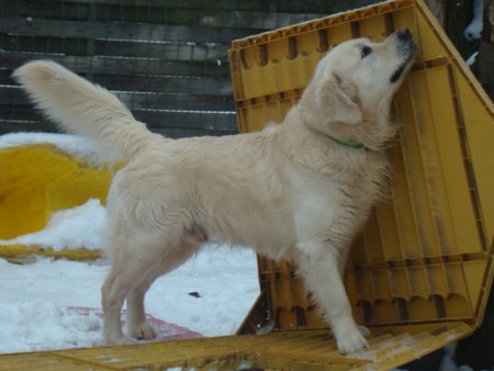 Dsc00280.jpg (28561 Byte)