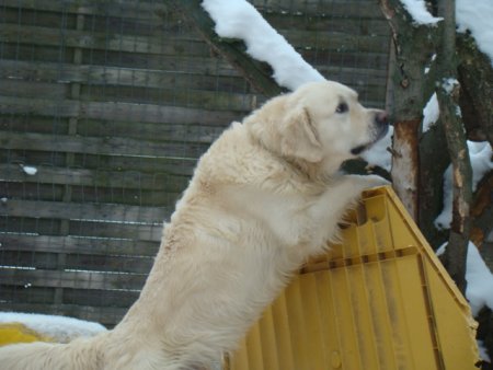 Dsc00281.jpg (29698 Byte)