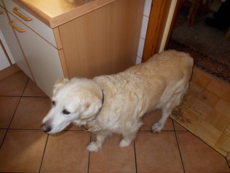 Dscn0020.jpg (25343 Byte)