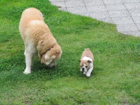 Img_0009.jpg (52022 Byte)