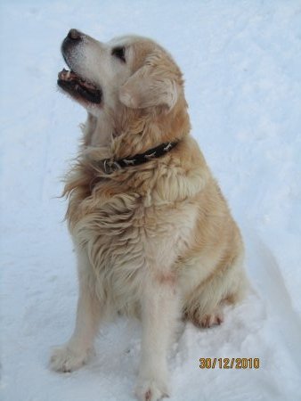 bildderfraucolinlisa_057.jpg (22709 Byte)