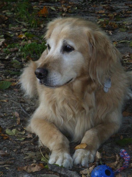 Rimg1441.jpg (56574 Byte)