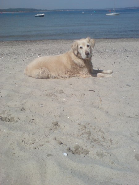 Dsc00043.jpg (48643 Byte)