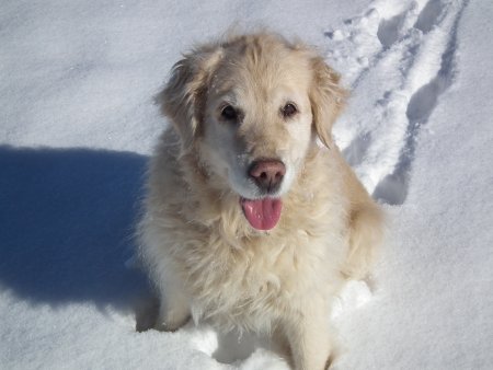 Dscf1081.jpg (26599 Byte)