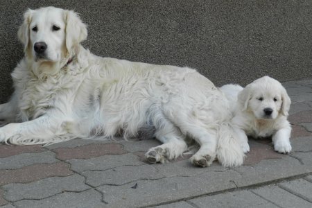 Dscn1079.jpg (33077 Byte)