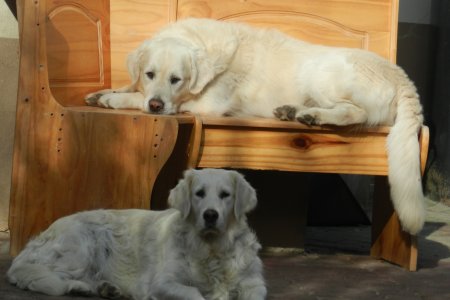 Dscn1357.jpg (24301 Byte)