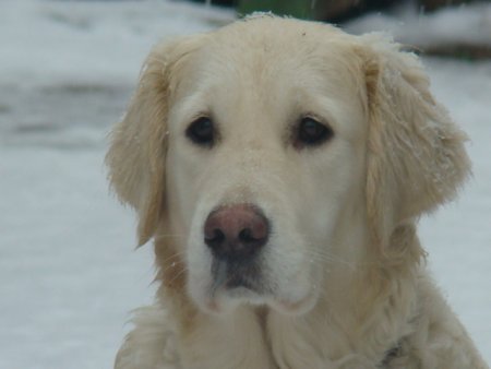 Dsc00143.jpg (17979 Byte)