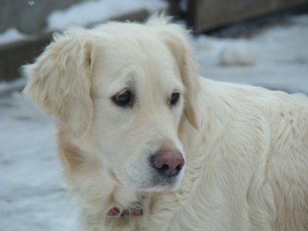 Dsc00307.jpg (20118 Byte)