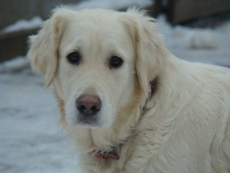 Dsc00308.jpg (18392 Byte)