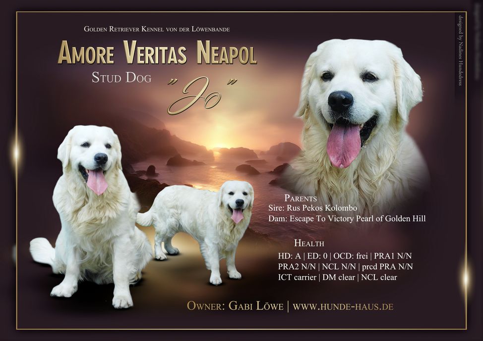 baileyr.jpg (24713 Byte)