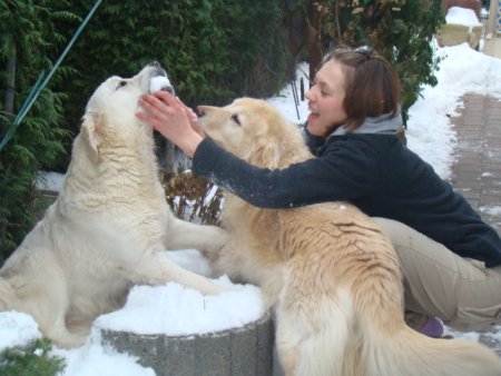 Dsc04594.jpg (34660 Byte)