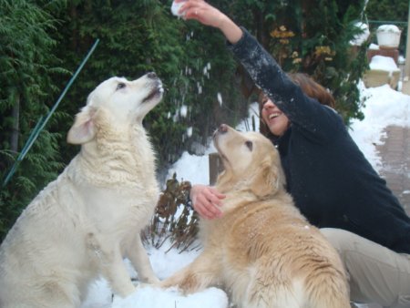 Dsc04596.jpg (34582 Byte)