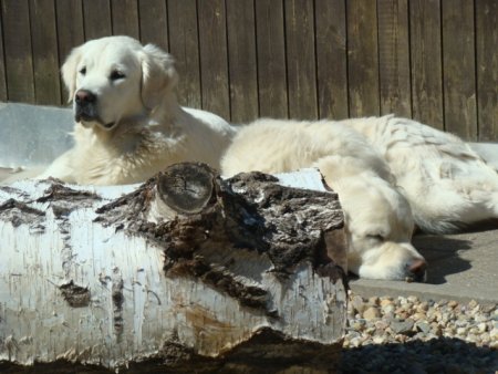 Dsc01635.jpg (39535 Byte)