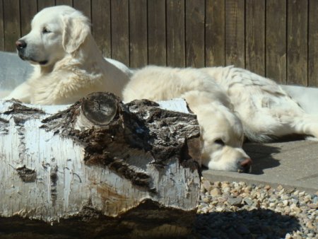 Dsc01636.jpg (39606 Byte)