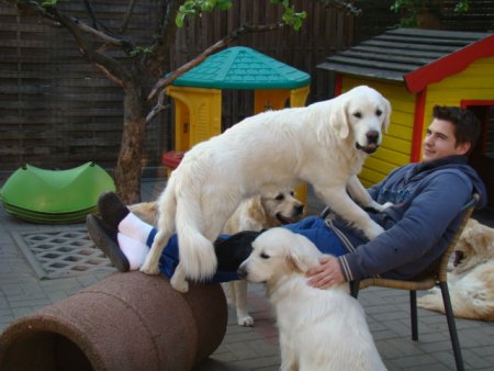 Dsc01824.jpg (33053 Byte)