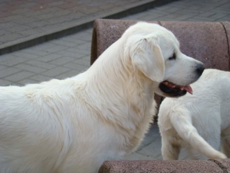 Dsc01875.jpg (24922 Byte)