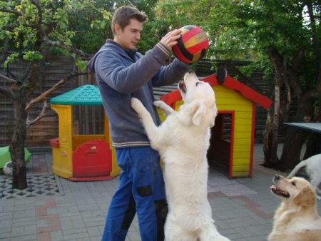 Dsc01886.jpg (39755 Byte)