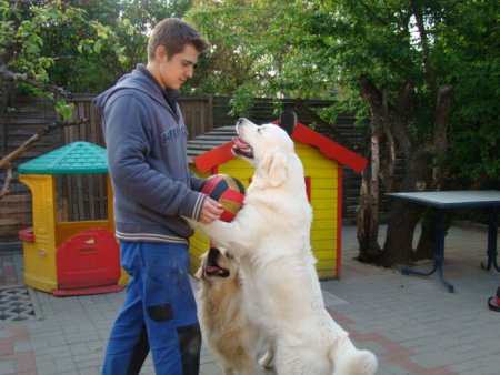 Dsc01887.jpg (39203 Byte)