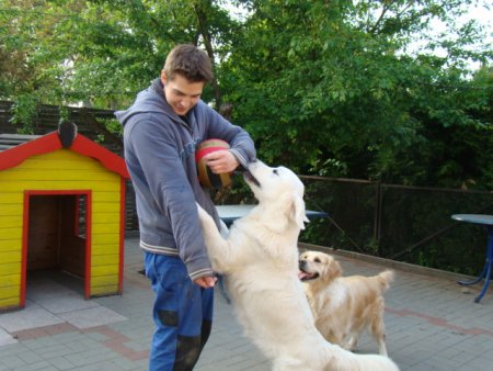 Dsc01888.jpg (42085 Byte)