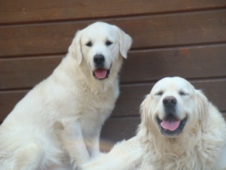 Dsc02587.jpg (22448 Byte)