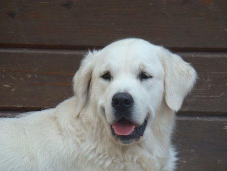 Dsc02592.jpg (20061 Byte)