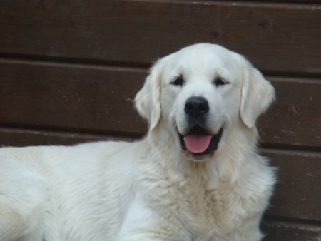 Dsc02611.jpg (20170 Byte)