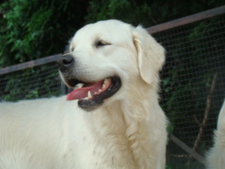 Dsc02648.jpg (23488 Byte)