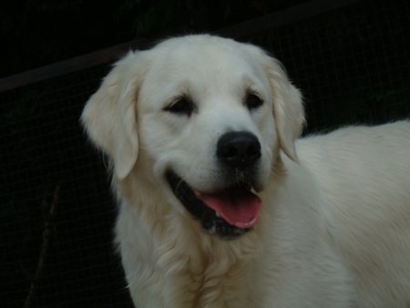 Dsc02649.jpg (17285 Byte)